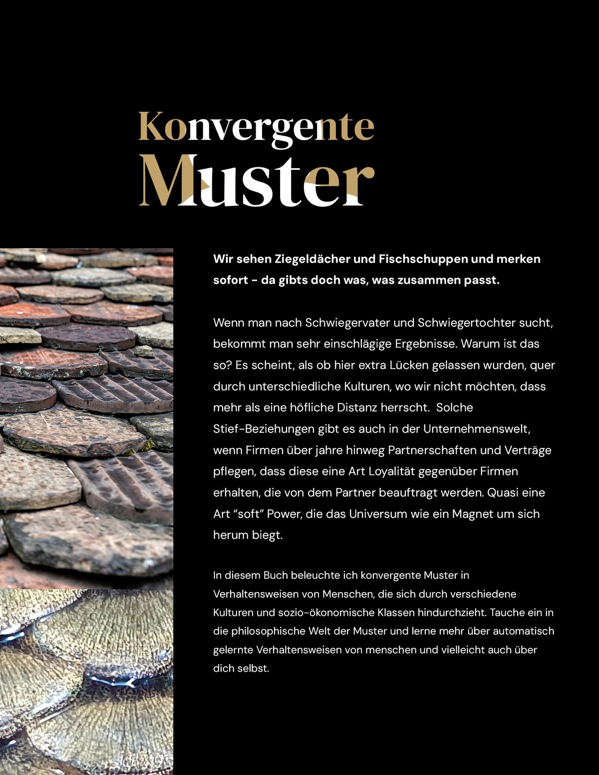 Backcover mit Klappentext von „Konvergente Muster"