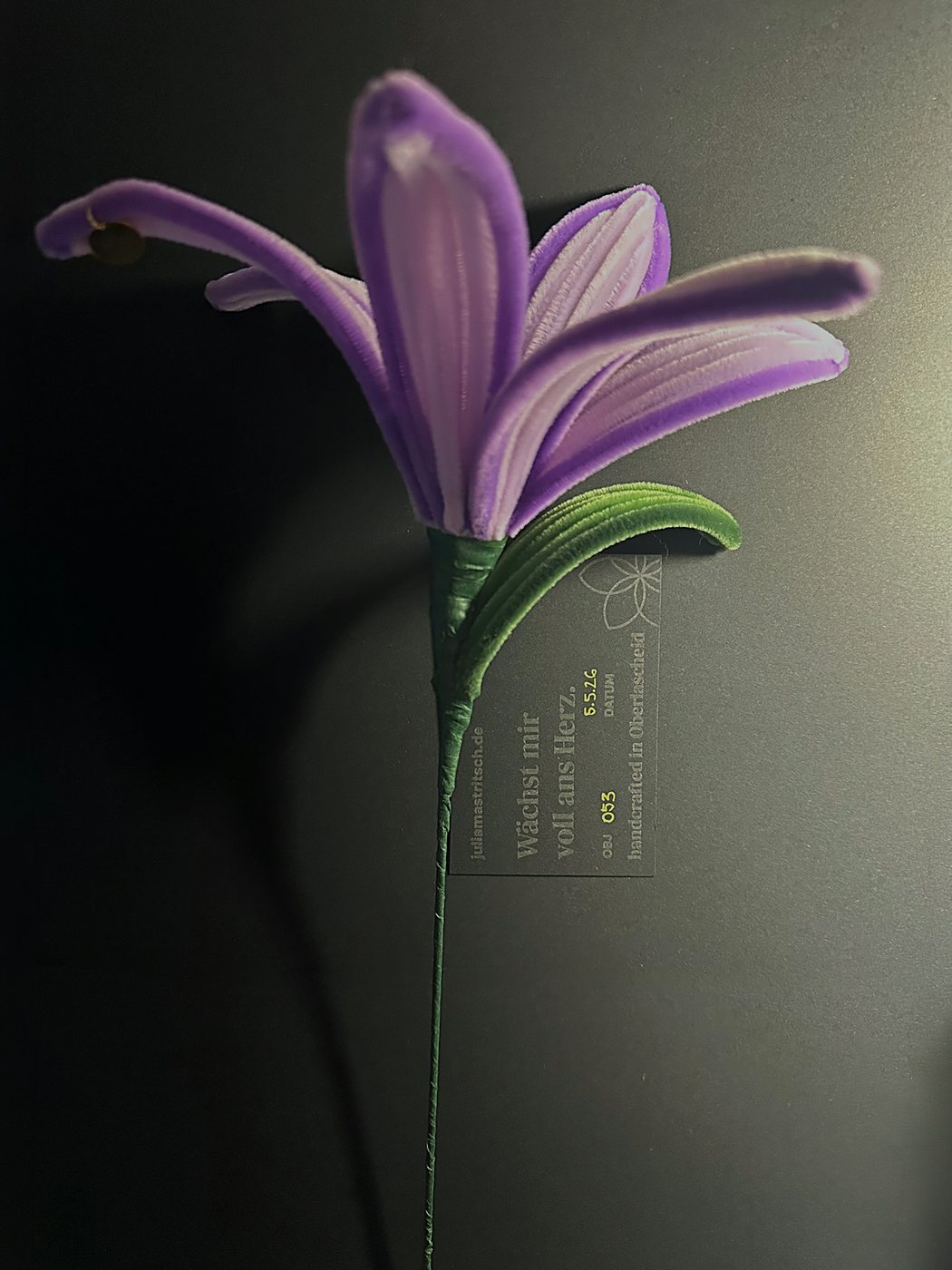 Blume am Stiel OBJ 053